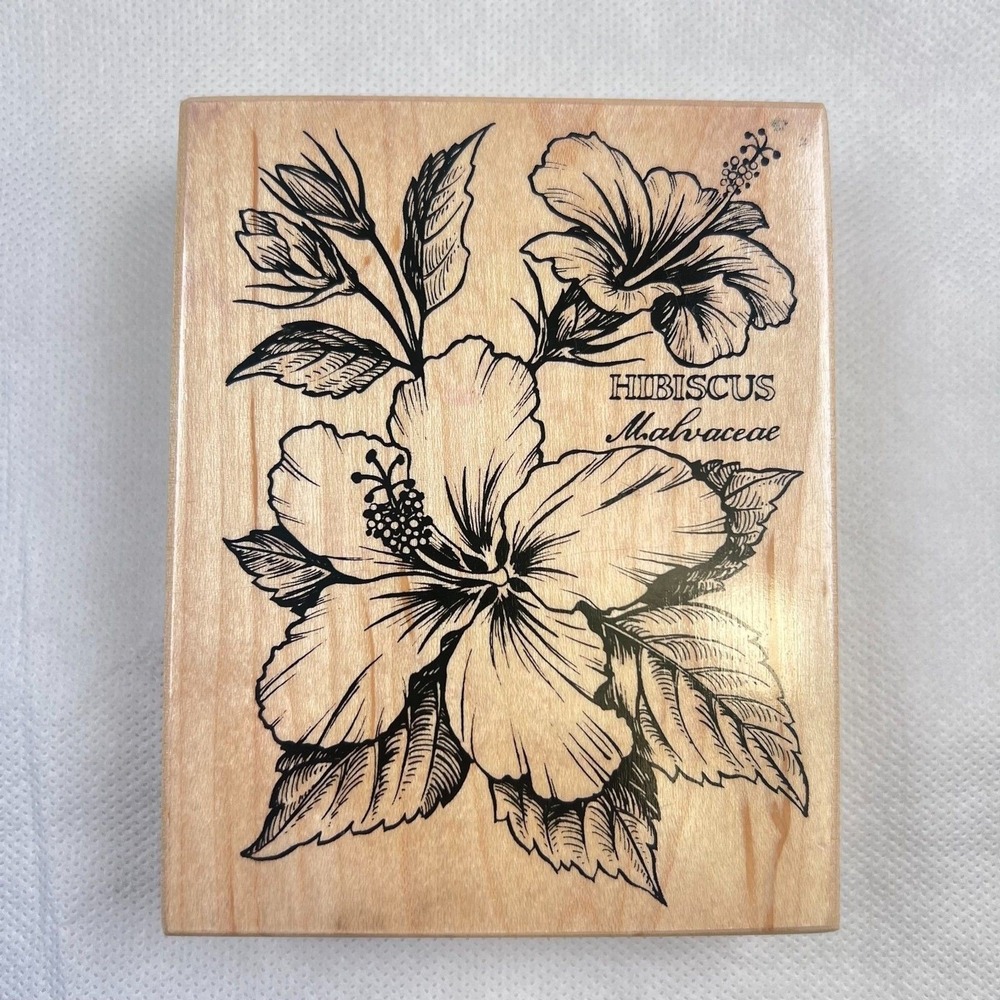 PSX Hibiscus Botanical Rubber Stamp K1561 Floral Tropical Craft
